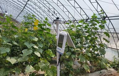 ZXCAWS700 智能溫室儀