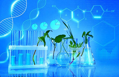 農(nóng)牧科學(xué)研究