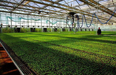 現(xiàn)代農(nóng)業(yè)生產(chǎn)管理決策