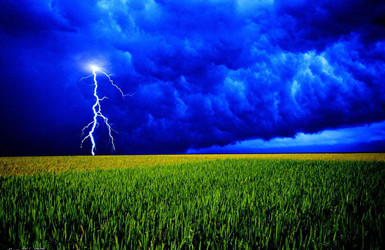 雷電輸出冰雹對(duì)農(nóng)業(yè)的損害