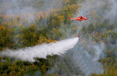 通航森林作業(yè)