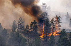 氣象站對于森林火災(zāi)的重要性