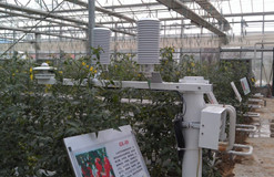 溫室小氣候氣象站對(duì)于農(nóng)業(yè)氣候監(jiān)測(cè)的應(yīng)用