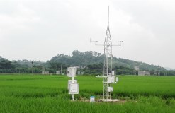 ZXCAWS330 農(nóng)田環(huán)境自動監(jiān)測站