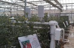 ZXCAWS330 溫室小氣候監(jiān)測站