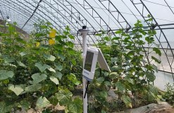 ZXCAWS330 智能溫室儀