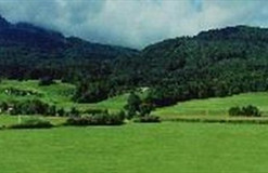 森林生態(tài)站的管理現(xiàn)狀