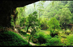 森林生態(tài)站數(shù)據(jù)管理現(xiàn)狀分析