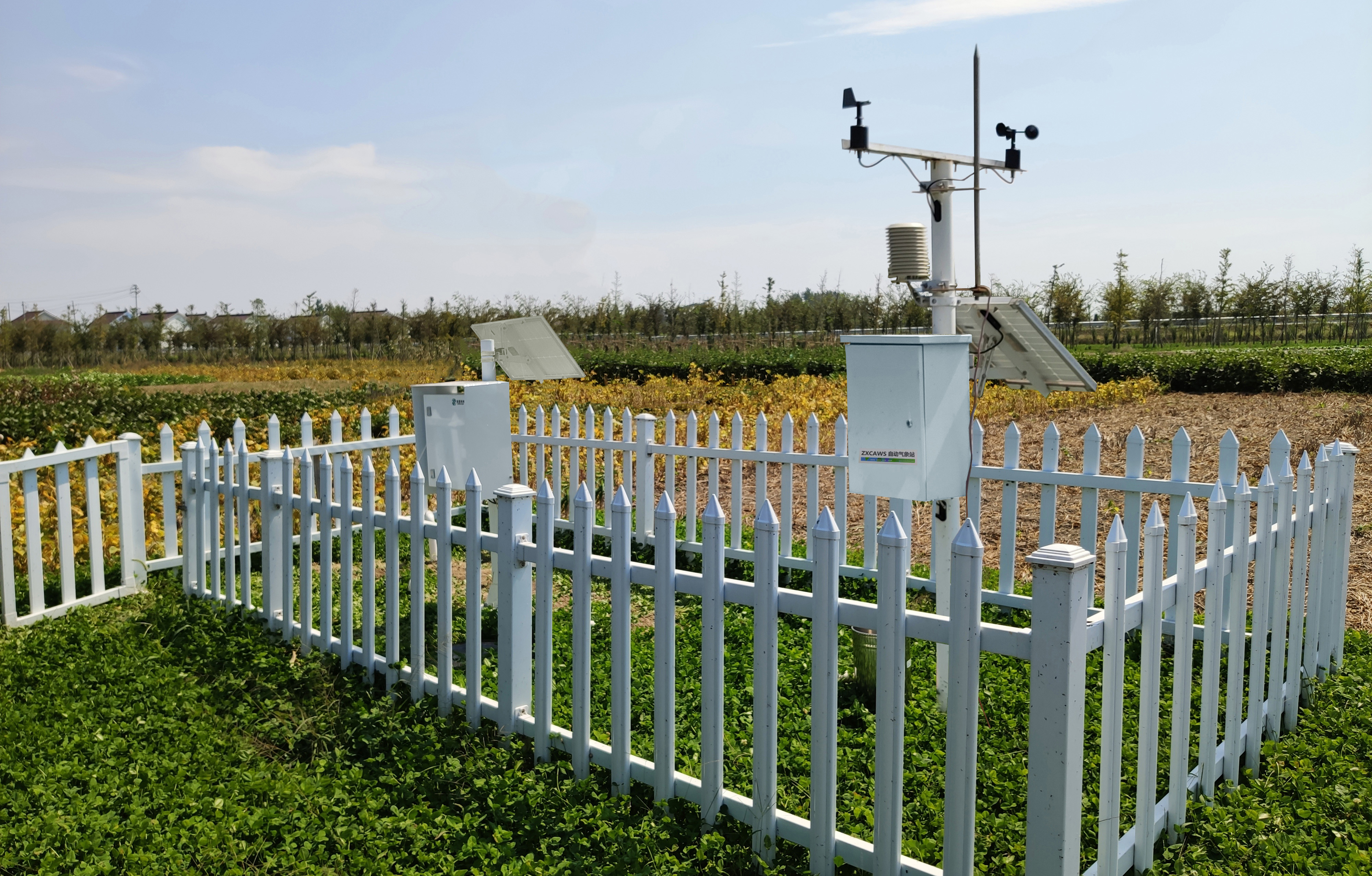 ZXCAWS1000 土壤觀測站