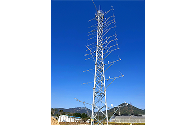 ZXCAWS1000 風(fēng)能監(jiān)測(cè)站