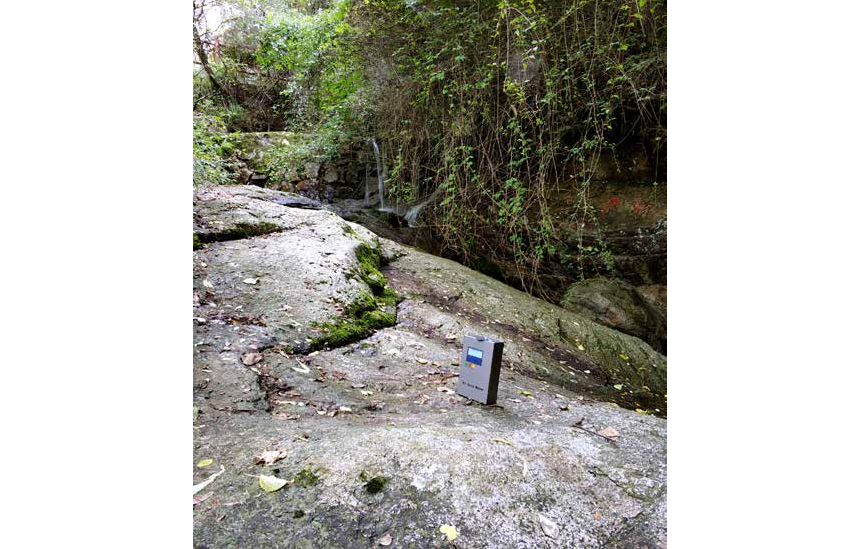 ZXAWS500 便攜式負(fù)氧離子監(jiān)測(cè)儀