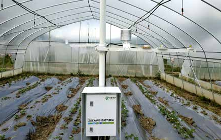 ZXCAWS700 溫室小氣候監(jiān)測站