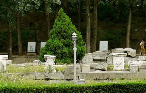 ZXCAWS900 景區(qū)空氣指數(shù)站