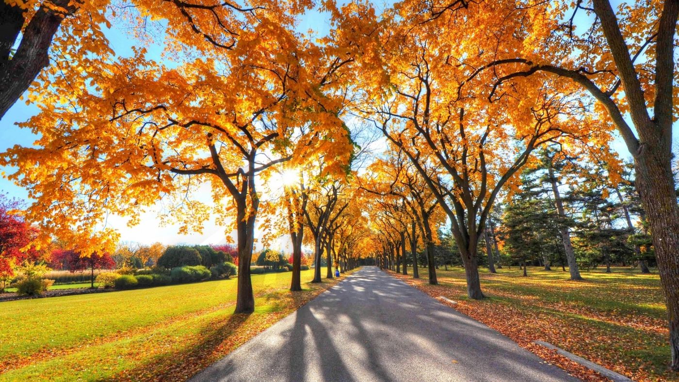 且過且珍惜！大數(shù)據(jù)告訴你這些地方秋天越來越短了