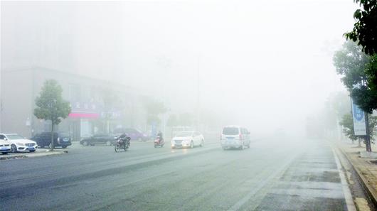 秋冬季大霧多發(fā) 這份防御指南請收好