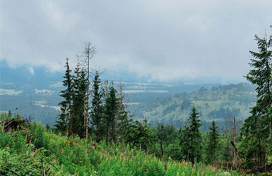 自動氣象站在各領(lǐng)域的實際應用