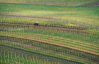影響農(nóng)業(yè)生產(chǎn)的主要氣象災(zāi)害有哪些？