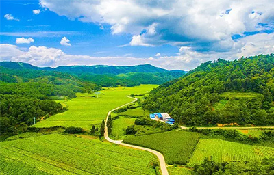 小型自動(dòng)氣象站：守護(hù)農(nóng)業(yè)和氣象安全的關(guān)鍵角色