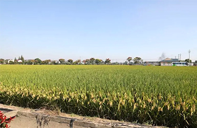 無線農(nóng)業(yè)氣象綜合監(jiān)測站：現(xiàn)代化農(nóng)業(yè)的氣象守護(hù)者