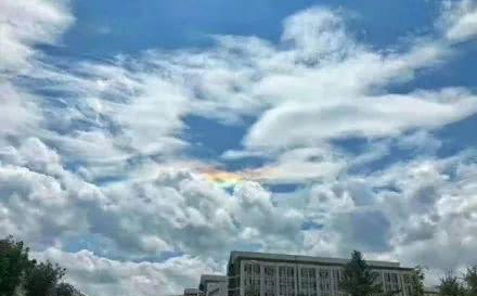 5b0fc27e439d8.png 7.png