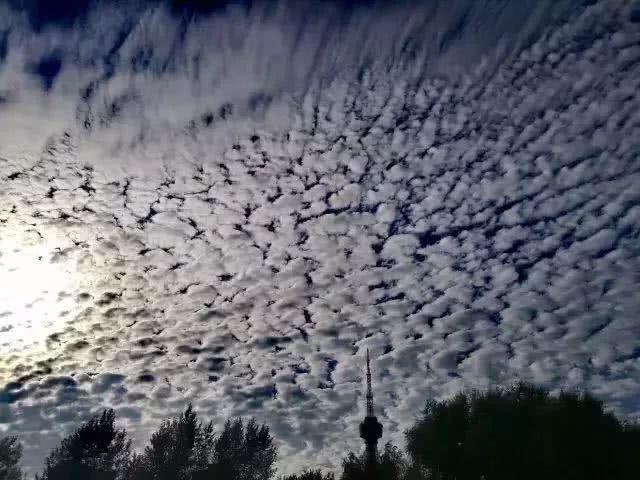 5b0fc58958b57.jpg 14.jpg