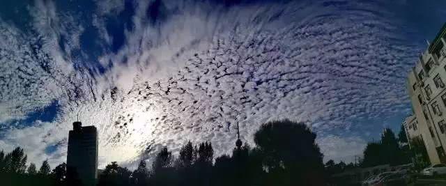 5b0fc596a33bb.jpg 15.jpg