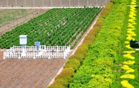 農(nóng)業(yè)環(huán)境研究