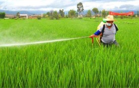 病蟲(chóng)害防治