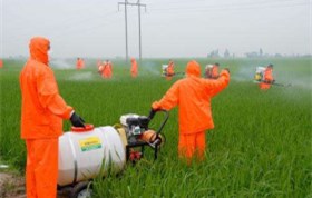 病蟲(chóng)害防治