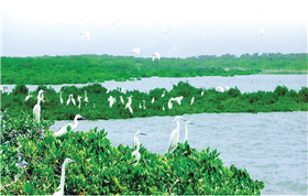 生態(tài)氣候環(huán)境觀測(cè)