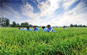 農(nóng)業(yè)氣象服務(wù)