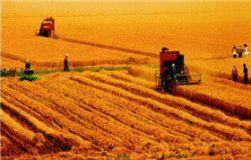 農(nóng)業(yè)氣象服務(wù)