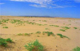 沙漠化治理監(jiān)測