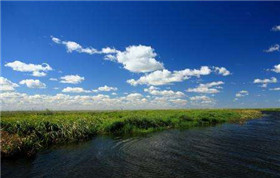 水文簡介監(jiān)測