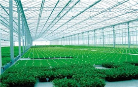 科技大棚種植研究