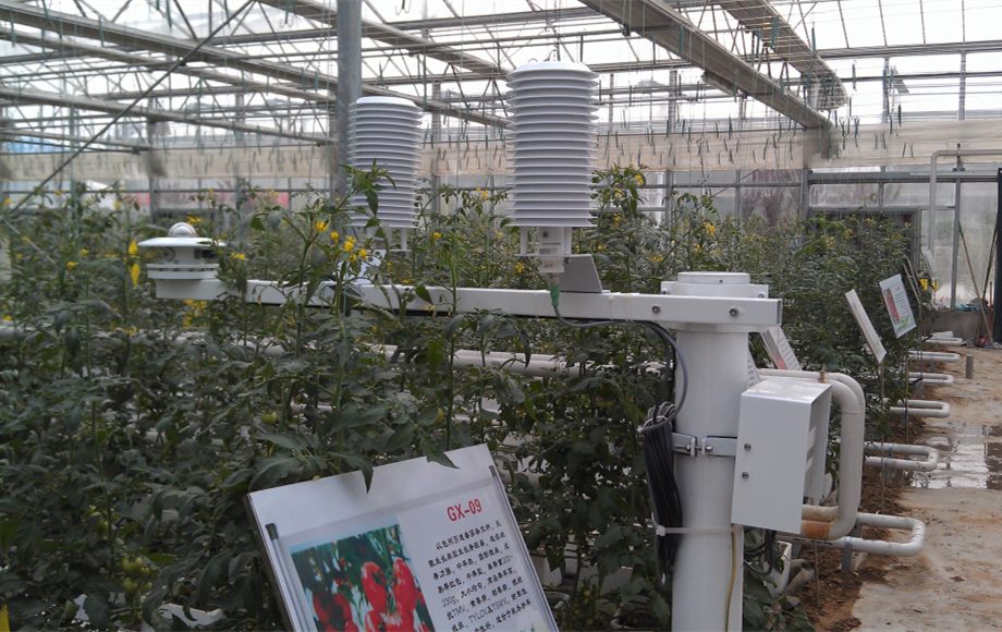 5bd2618ad76e2.jpg 5bd2618ad76e2.jpg