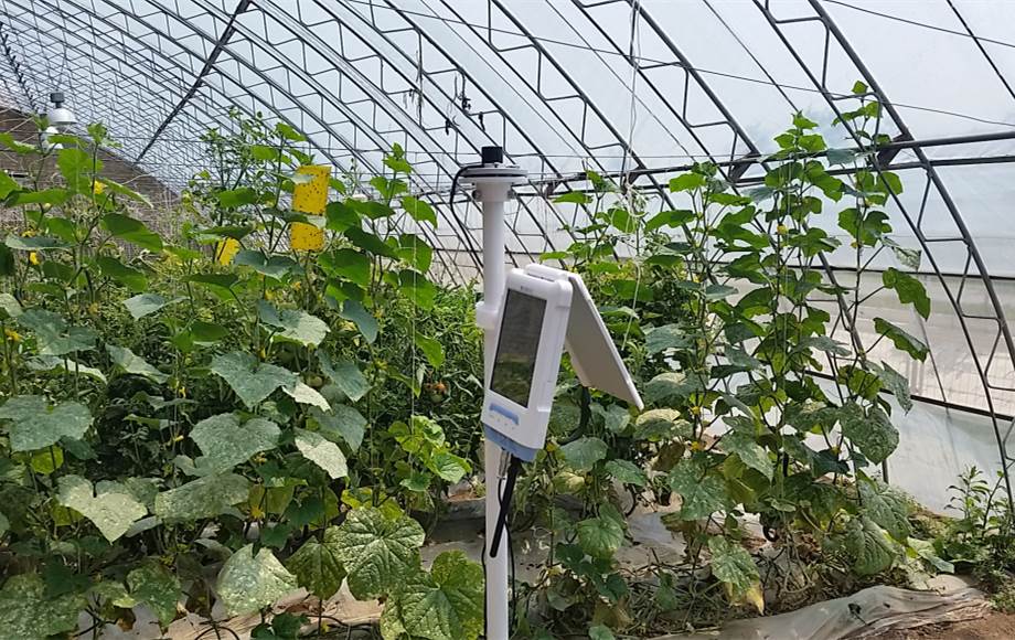 5bd2632611dd2.jpg 5bd2632611dd2.jpg