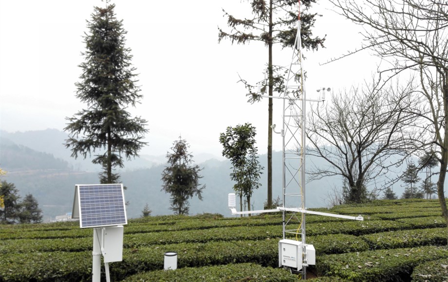 5bd68b8d79d65.jpg 5bd68b8d79d65.jpg