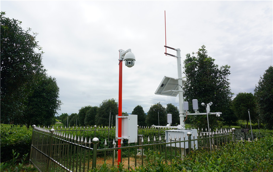 5bda5c97e03a8.jpg 5bda5c97e03a8.jpg