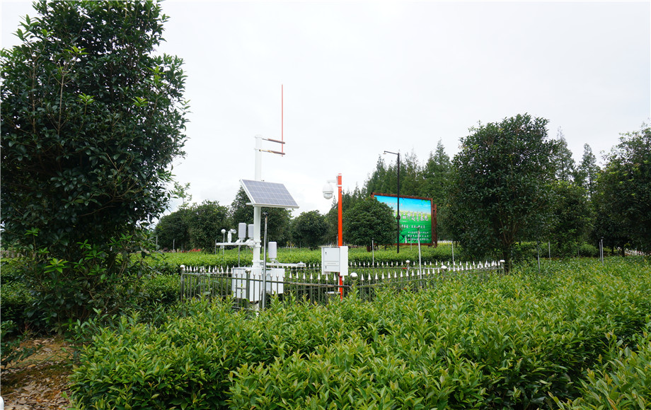 5bda5e61d2cd8.jpg 5bda5e61d2cd8.jpg