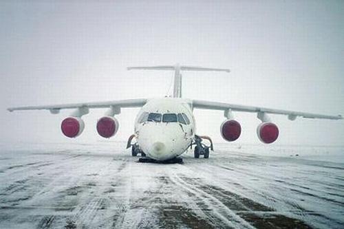 5cbb10dc89f04.jpg 00.jpg