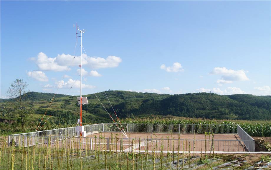 5ccf0d5b192ba.jpg 5ccf0d5b192ba.jpg