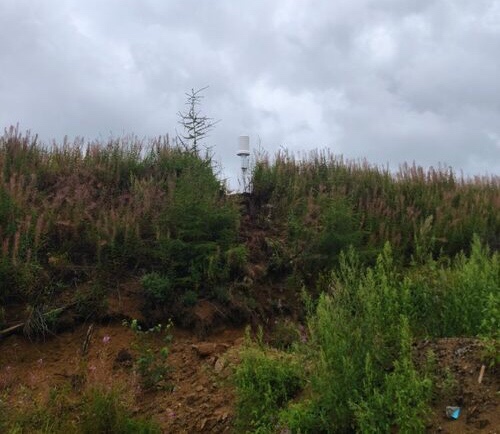 603dfafb6b1d8.jpeg 292B9BC7-600D-4849-AF35-85CE02686D2D.jpeg