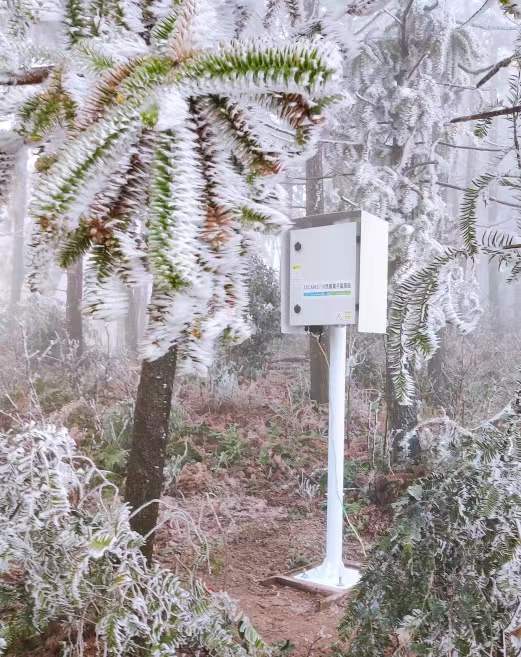 61a97c6a501fb.jpg 九江4.jpg